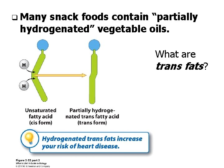 q Many snack foods contain “partially hydrogenated” vegetable oils. What are trans fats? 