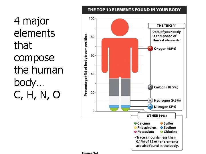 4 major elements that compose the human body… C, H, N, O 