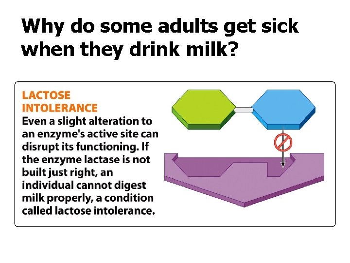 Why do some adults get sick when they drink milk? 