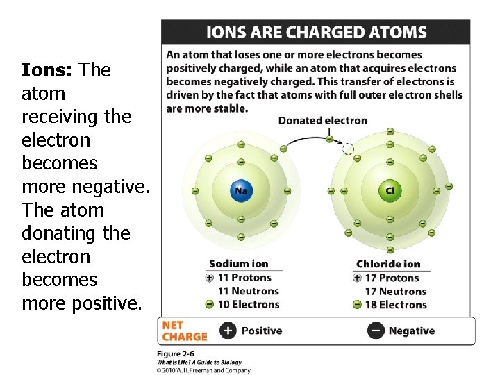Ions: The atom receiving the electron becomes more negative. The atom donating the electron