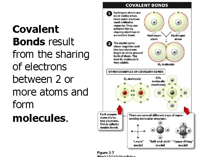 Covalent Bonds result from the sharing of electrons between 2 or more atoms and