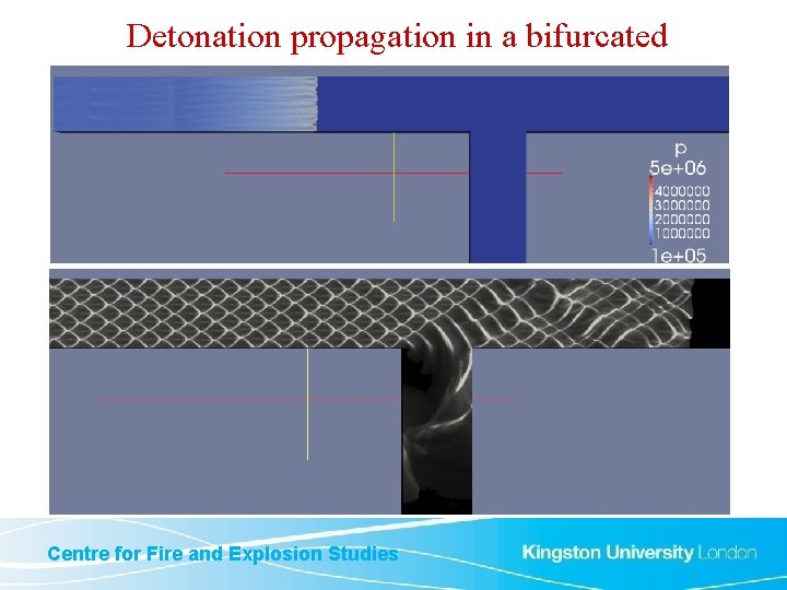 Detonation propagation in a bifurcated Centre for Fire and Explosion Studies 