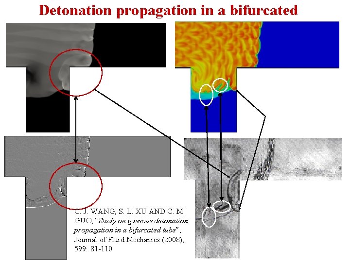 Detonation propagation in a bifurcated C. J. WANG, S. L. XU AND C. M.