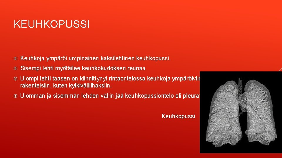 KEUHKOPUSSI Keuhkoja ympäröi umpinainen kaksilehtinen keuhkopussi. Sisempi lehti myötäilee keuhkokudoksen reunaa Ulompi lehti taasen
