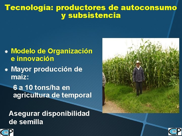 Tecnología: productores de autoconsumo y subsistencia Modelo de Organización e innovación Mayor producción de