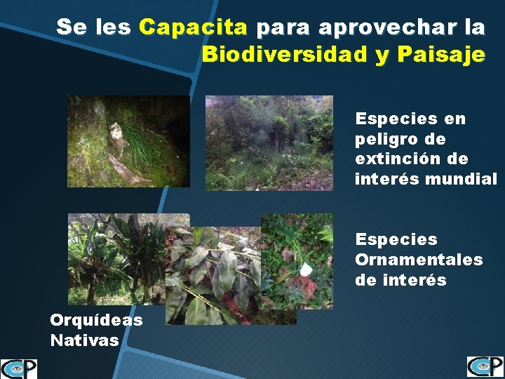 Se les Capacita para aprovechar la Biodiversidad y Paisaje Especies en peligro de extinción
