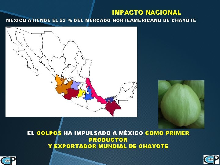 IMPACTO NACIONAL MÉXICO ATIENDE EL 53 % DEL MERCADO NORTEAMERICANO DE CHAYOTE EL COLPOS