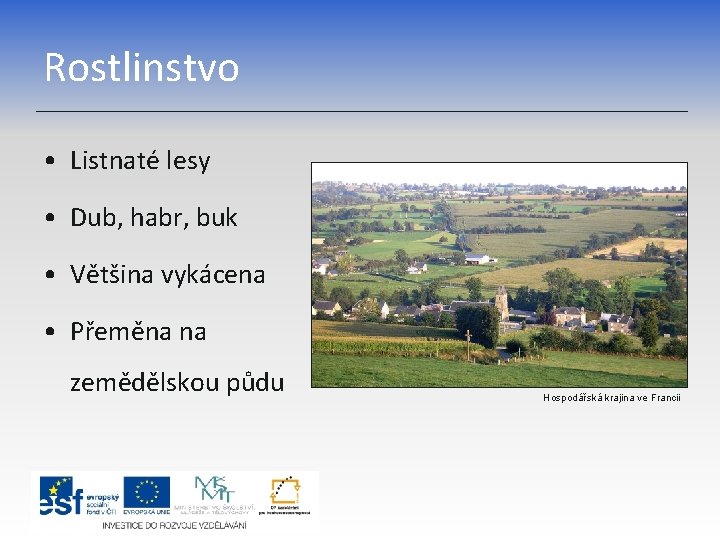 Rostlinstvo • Listnaté lesy • Dub, habr, buk • Většina vykácena • Přeměna na