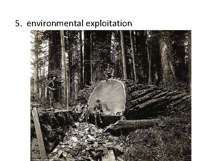 5. environmental exploitation 