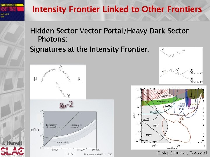 Intensity Frontier Linked to Other Frontiers Hidden Sector Vector Portal/Heavy Dark Sector Photons: Signatures