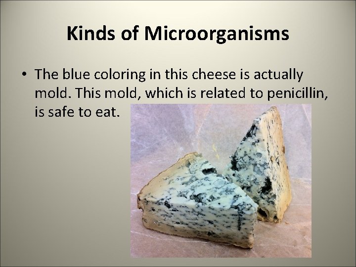 Kinds of Microorganisms • The blue coloring in this cheese is actually mold. This