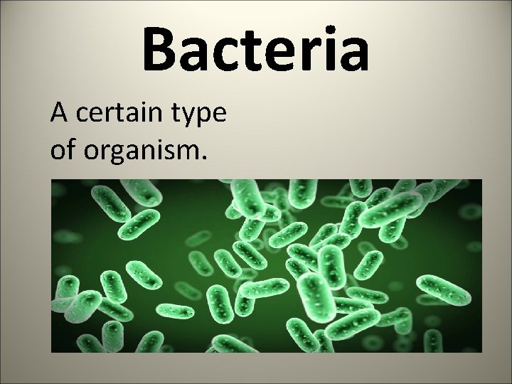 Bacteria A certain type of organism. 