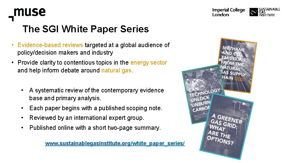 The SGI White Paper Series • Evidence-based reviews targeted at a global audience of
