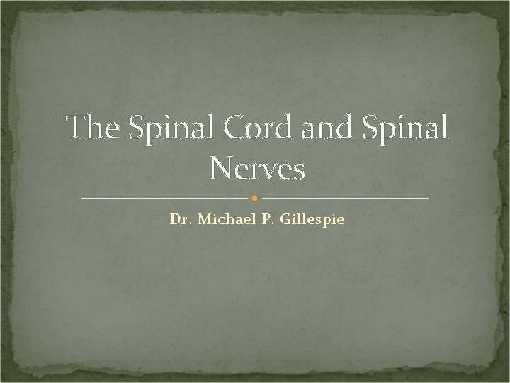The Spinal Cord and Spinal Nerves Dr. Michael P. Gillespie 