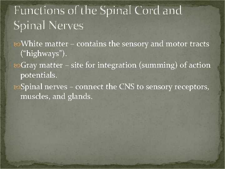 Functions of the Spinal Cord and Spinal Nerves White matter – contains the sensory