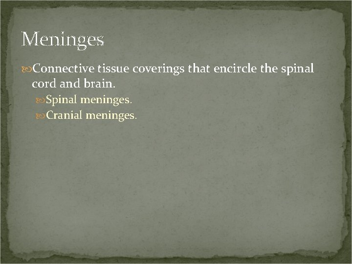Meninges Connective tissue coverings that encircle the spinal cord and brain. Spinal meninges. Cranial