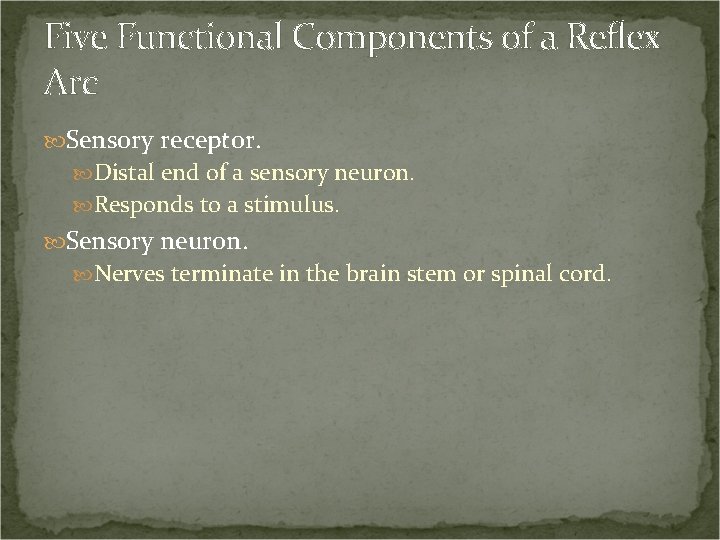 Five Functional Components of a Reflex Arc Sensory receptor. Distal end of a sensory