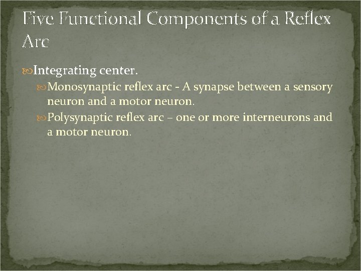 Five Functional Components of a Reflex Arc Integrating center. Monosynaptic reflex arc - A