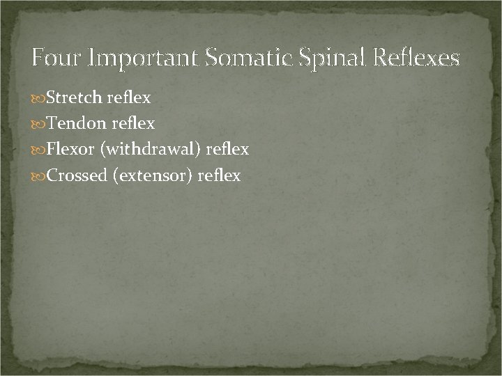 Four Important Somatic Spinal Reflexes Stretch reflex Tendon reflex Flexor (withdrawal) reflex Crossed (extensor)