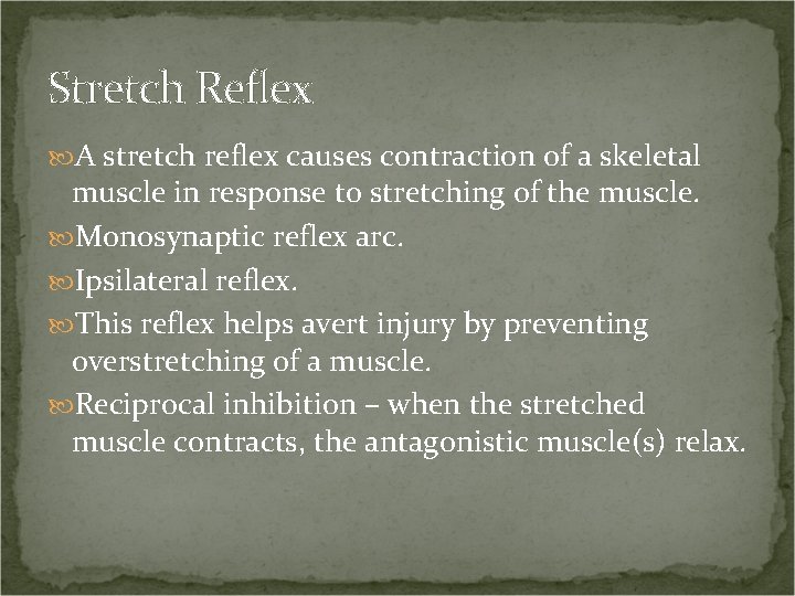 Stretch Reflex A stretch reflex causes contraction of a skeletal muscle in response to