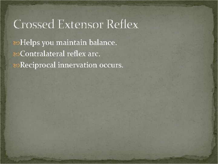 Crossed Extensor Reflex Helps you maintain balance. Contralateral reflex arc. Reciprocal innervation occurs. 