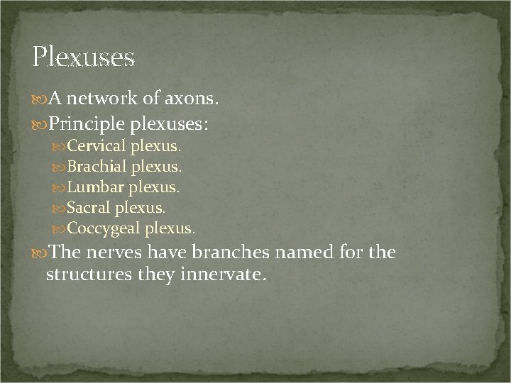 Plexuses A network of axons. Principle plexuses: Cervical plexus. Brachial plexus. Lumbar plexus. Sacral