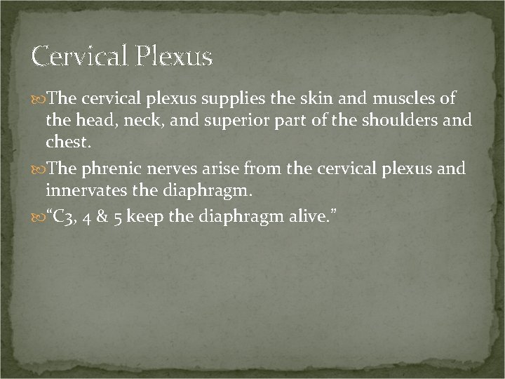 Cervical Plexus The cervical plexus supplies the skin and muscles of the head, neck,