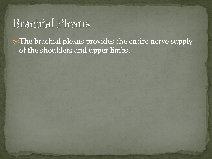 Brachial Plexus The brachial plexus provides the entire nerve supply of the shoulders and