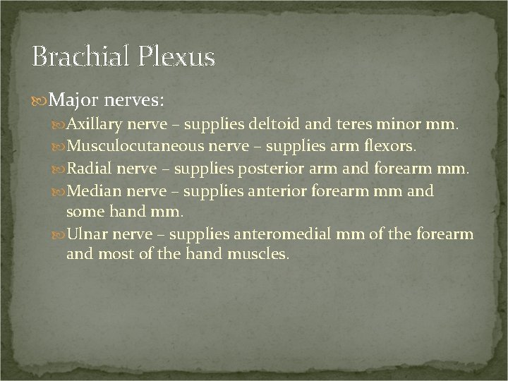 Brachial Plexus Major nerves: Axillary nerve – supplies deltoid and teres minor mm. Musculocutaneous