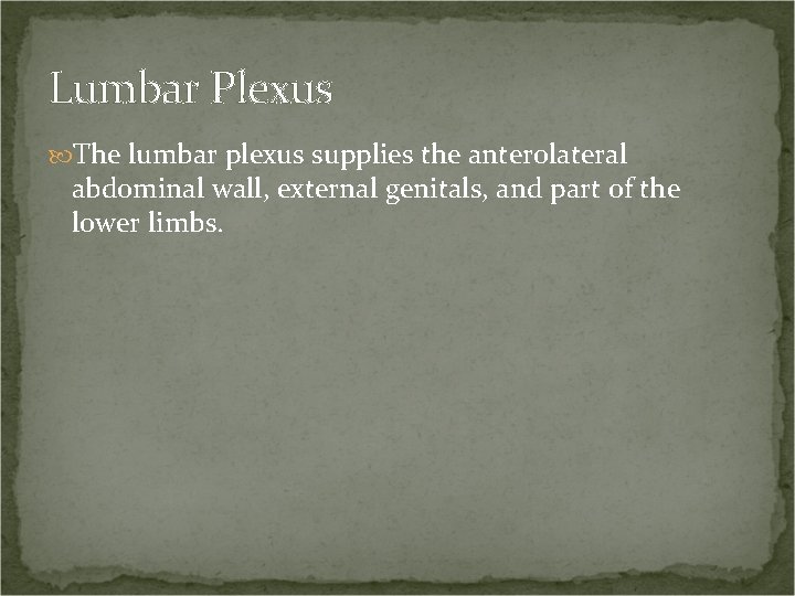 Lumbar Plexus The lumbar plexus supplies the anterolateral abdominal wall, external genitals, and part