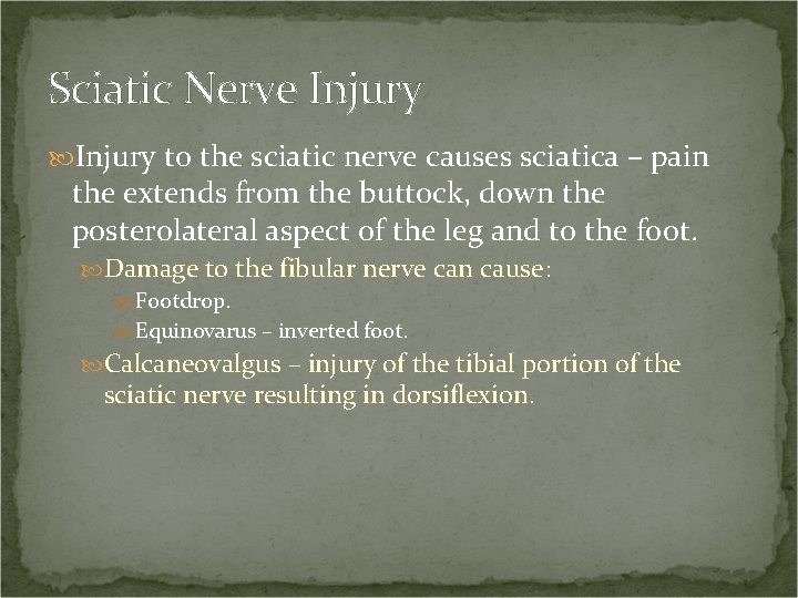 Sciatic Nerve Injury to the sciatic nerve causes sciatica – pain the extends from