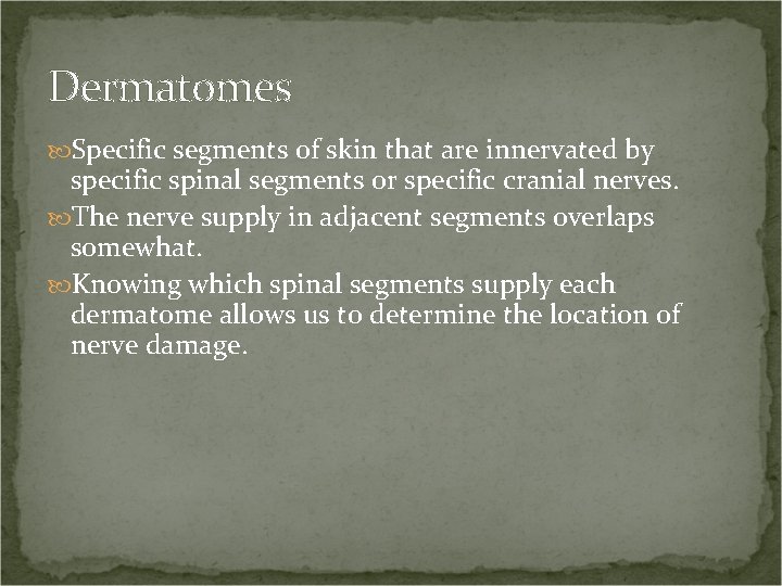 Dermatomes Specific segments of skin that are innervated by specific spinal segments or specific