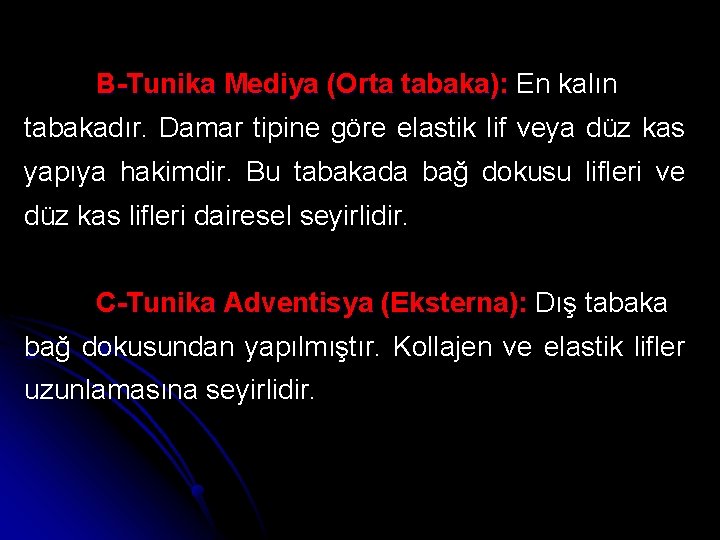 B-Tunika Mediya (Orta tabaka): En kalın tabakadır. Damar tipine göre elastik lif veya düz