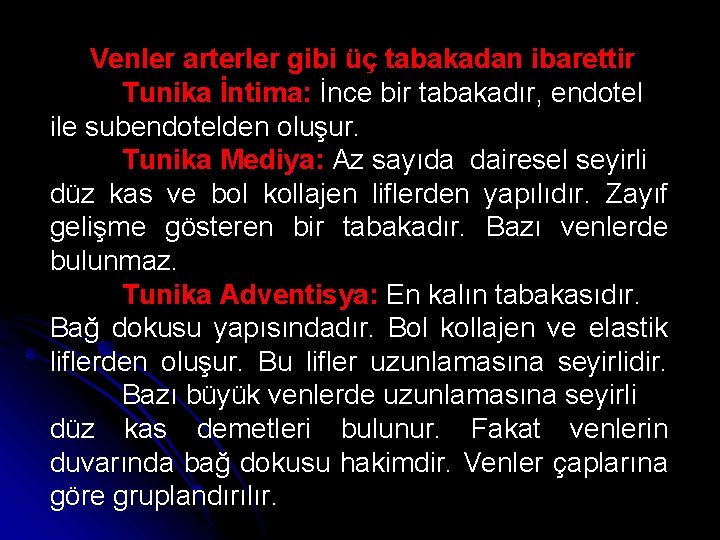 Venler arterler gibi üç tabakadan ibarettir Tunika İntima: İnce bir tabakadır, endotel ile subendotelden