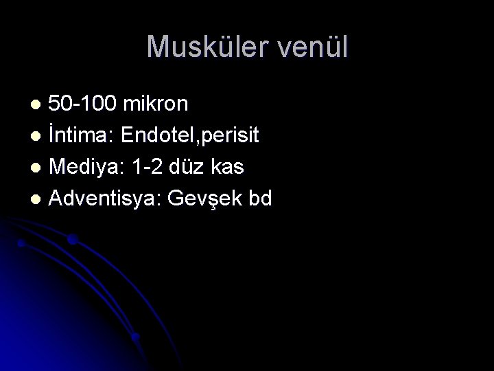 Musküler venül 50 -100 mikron l İntima: Endotel, perisit l Mediya: 1 -2 düz