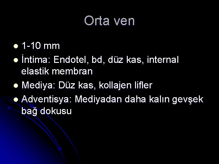 Orta ven 1 -10 mm l İntima: Endotel, bd, düz kas, internal elastik membran
