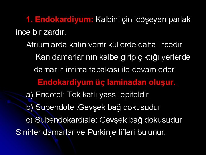 1. Endokardiyum: Kalbin içini döşeyen parlak ince bir zardır. Atriumlarda kalın ventriküllerde daha incedir.