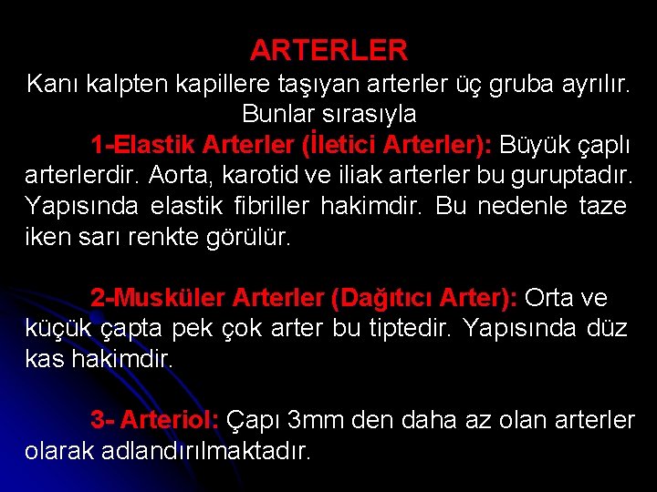 ARTERLER Kanı kalpten kapillere taşıyan arterler üç gruba ayrılır. Bunlar sırasıyla 1 -Elastik Arterler