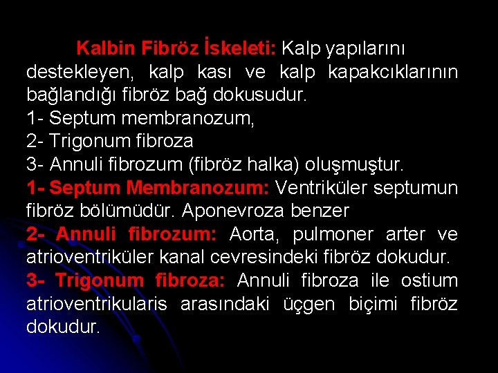 Kalbin Fibröz İskeleti: Kalp yapılarını destekleyen, kalp kası ve kalp kapakcıklarının bağlandığı fibröz bağ