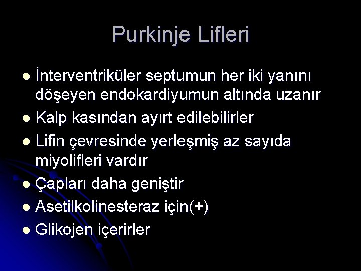 Purkinje Lifleri İnterventriküler septumun her iki yanını döşeyen endokardiyumun altında uzanır l Kalp kasından