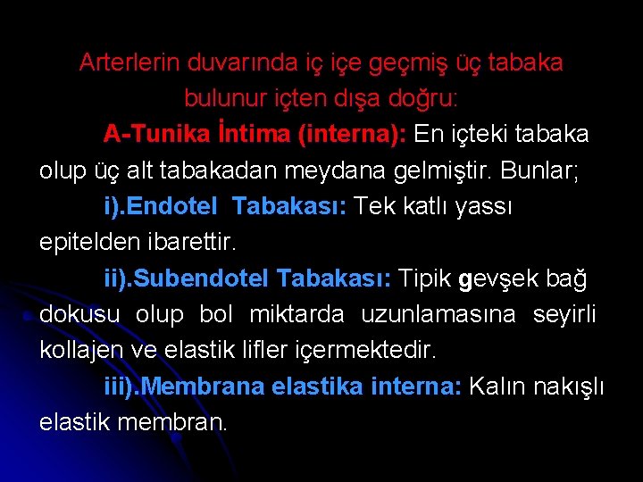 Arterlerin duvarında iç içe geçmiş üç tabaka bulunur içten dışa doğru: A-Tunika İntima (interna):