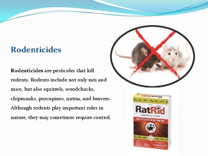 Rodenticides are pesticides that kill rodents. Rodents include not only rats and mice, but