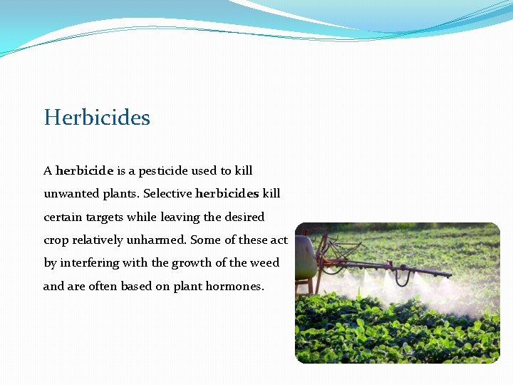 Herbicides A herbicide is a pesticide used to kill unwanted plants. Selective herbicides kill