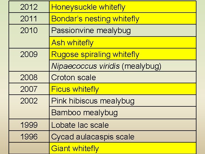 2012 2011 2010 2009 2008 2007 2002 1999 1996 Honeysuckle whitefly Bondar’s nesting whitefly