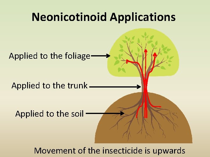 Neonicotinoid Applications Applied to the foliage Applied to the trunk Applied to the soil
