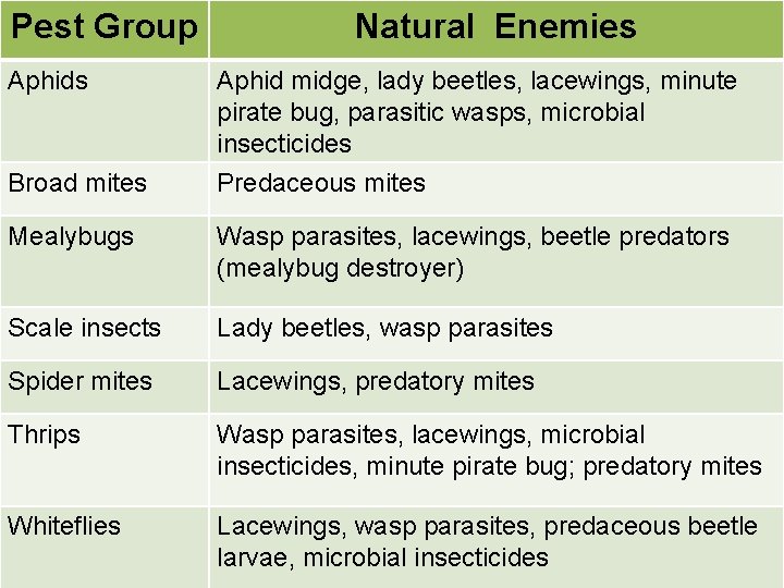 Pest Group Aphids Broad mites Natural Enemies Aphid midge, lady beetles, lacewings, minute pirate