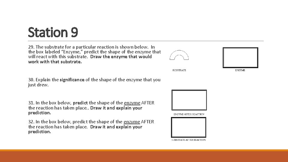 Station 9 29. The substrate for a particular reaction is shown below. In the