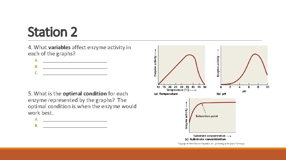 Station 2 4. What variables affect enzyme activity in each of the graphs? A.