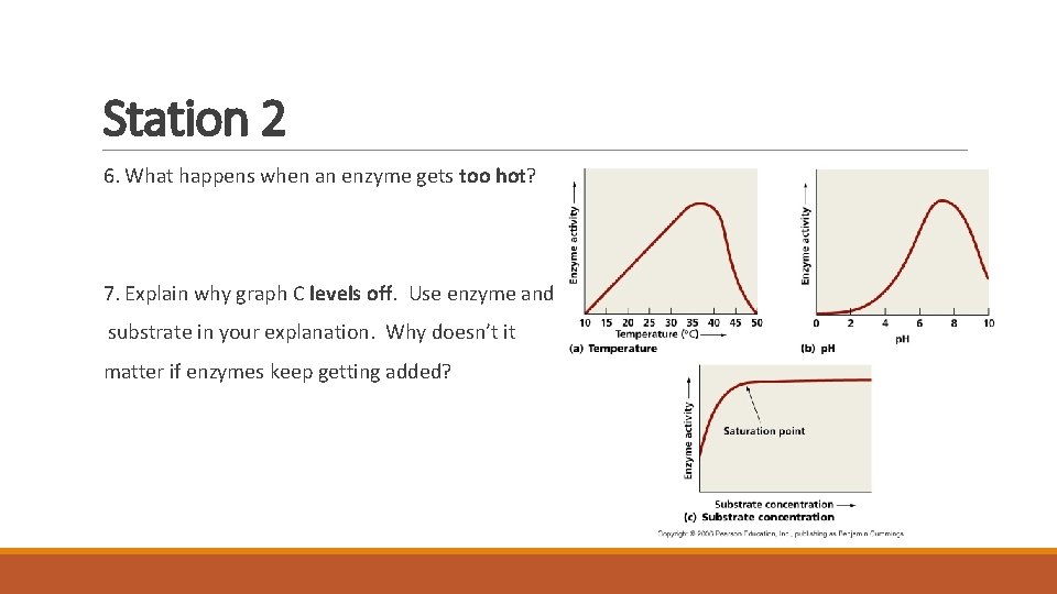 Station 2 6. What happens when an enzyme gets too hot? 7. Explain why