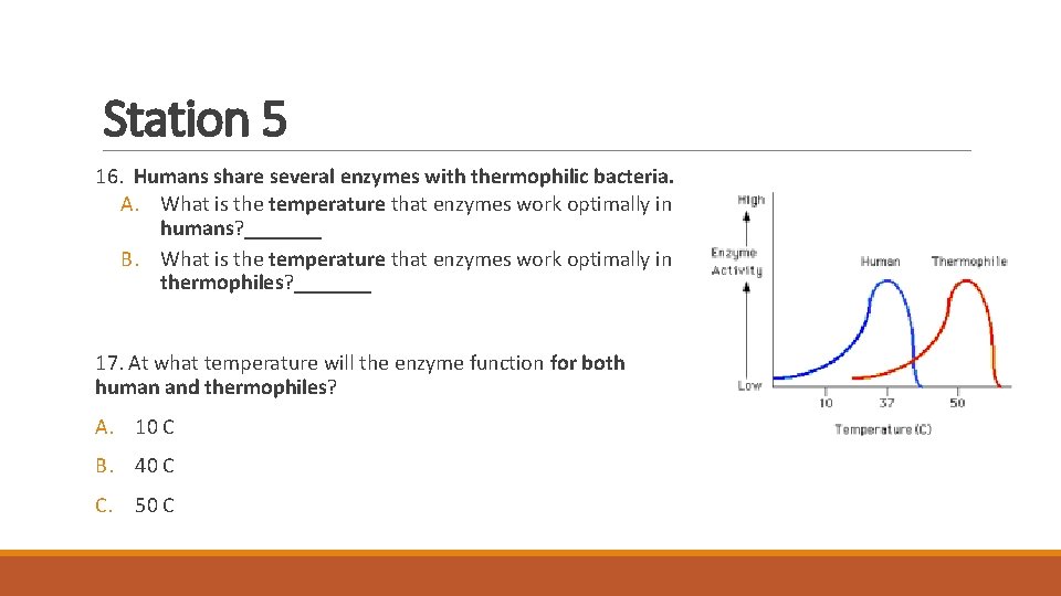 Station 5 16. Humans share several enzymes with thermophilic bacteria. A. What is the